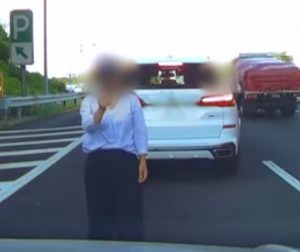 茨城県常磐自動車道のあおり運転（危険運転）暴行事件の犯人は？_犯人の車の同乗女性